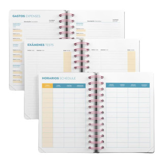 PLANER ACTIVA W/V ECHINACEA 26_27 