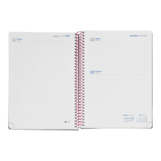 PLANER PLUS D/PDUO PINK-BLUE 26_27 