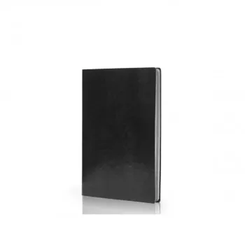 NOTES ALAMO 21.4*15.2 CRNI 
