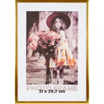 FOTO RAM SIMPLE 2 21*29,7 2 GOLDEN 