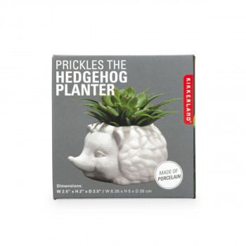 SAKSIJA PRINKLES THE HEDGEHOG 