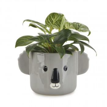 Saksija, Koala, gray, ceramic 
