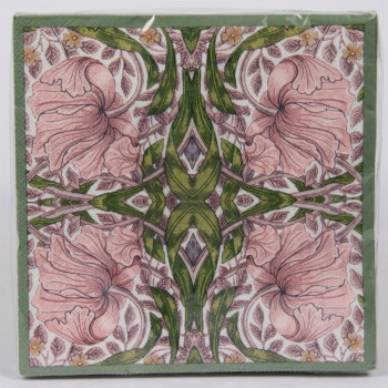 PIMPERNEL SALVETE PK 20 LP74204 