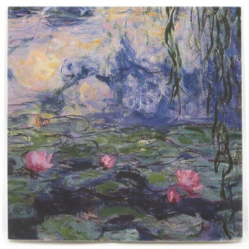 MONET SALVETE PK 20 LP74209 