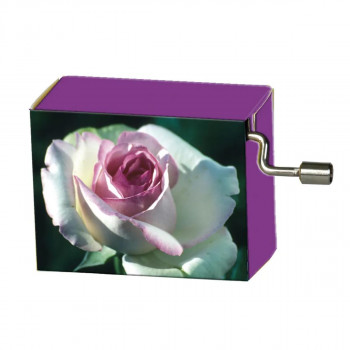 MUZIČKA KUTIJA La vie en rose, Rose (white/pink) 