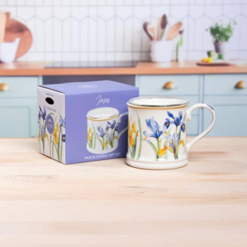 POKLON SET SVIJEĆA IRIS LP76667 