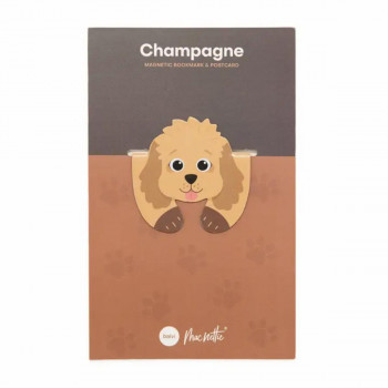 OBILJEŽIVAČ STRANICA MACNETTIC CHAMPAGNE FLEXIBLE 