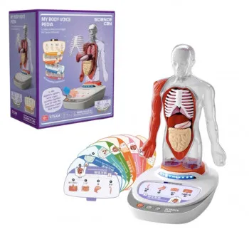 LJUDSKO TIJELO-GLASNOVI VODIČ KROZ ANATOMIJU SCIENCE CAN 