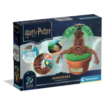HP MANDRAGOLA 