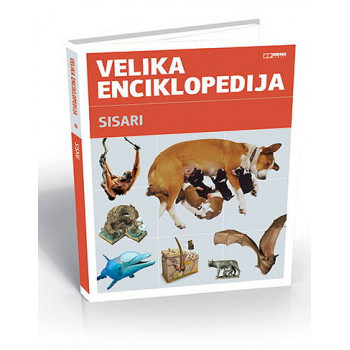 SISARI VELIKA ENC KK 
