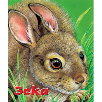 ZEKA MANJANA 