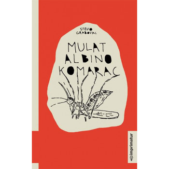 Mulat albino komarac 