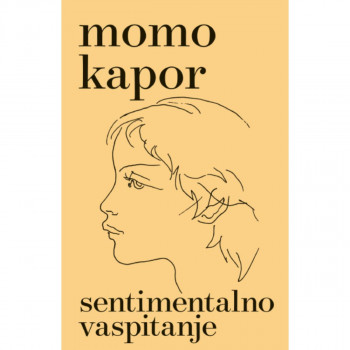 Sentimentalno vaspitanje 