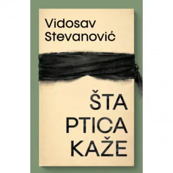 Šta ptica kaže 