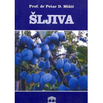 ŠLJIVA PARTENON 