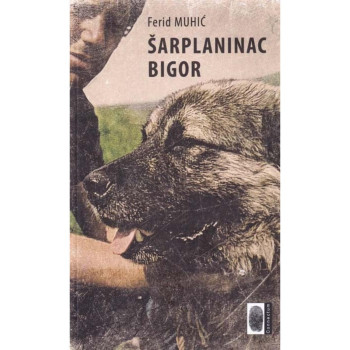 Šarplaninac Bigor-Ferid Muhić 