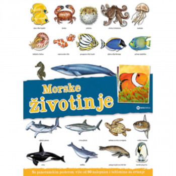 Panorama: Morske životinje 