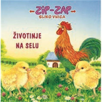 ZIP ZAP SLIKOVNICA 