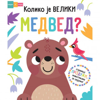 Povuci i otkrij - Koliko je veliki medved? 