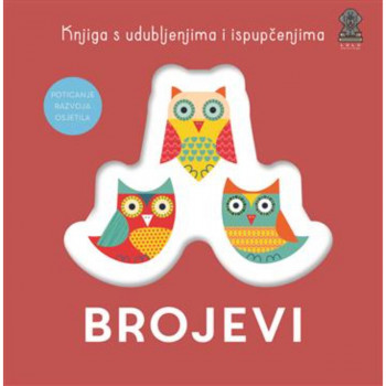 Knjiga s udubljenjima i ispupčenjima- Brojevi 