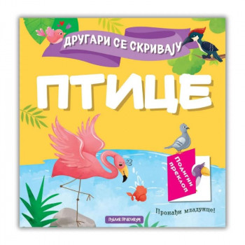 Drugari se skrivaju-Ptice 