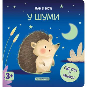 Dan i noć - U šumi 