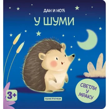 Dan i noć - U šumi 