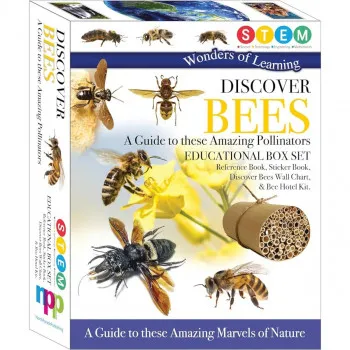 DISCOVER BEES-box set 