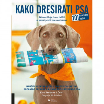 Kako dresirati psa 