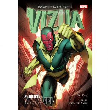 Vizija 
