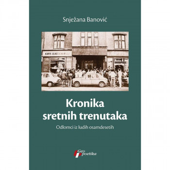 Kronika sretnih trenutaka - odlomci iz ludih osamdesetih 