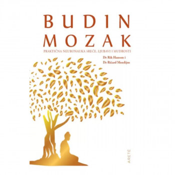 Budin mozak 