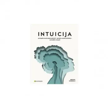 Intuicija 
