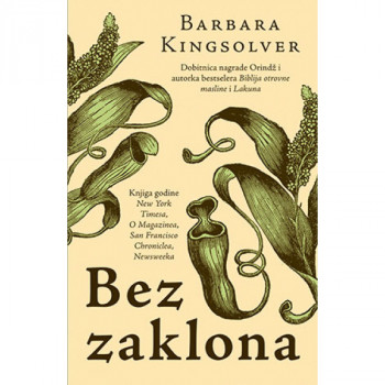 Bez zaklona 
