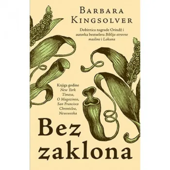 Bez zaklona 