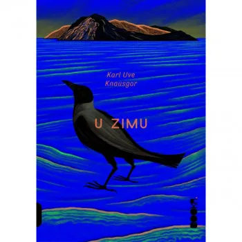 U zimu 