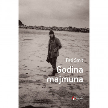 Godina majmuna 