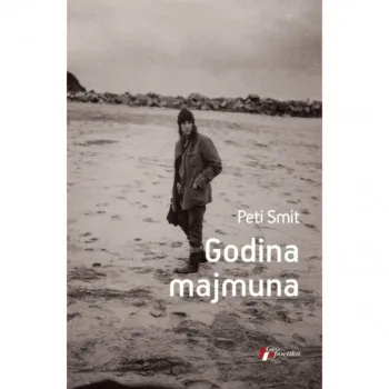 Godina majmuna 