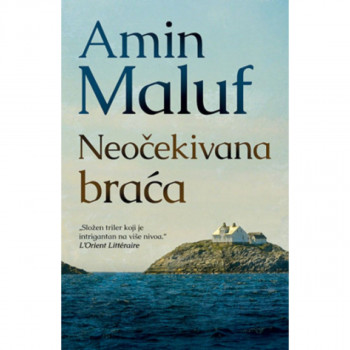 Neočekivana braća 
