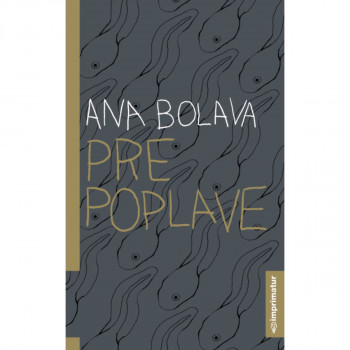 PRE POPLAVE 