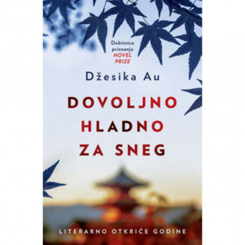 Dovoljno hladno za sneg 