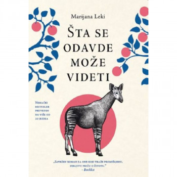 Šta se odavde može videti 