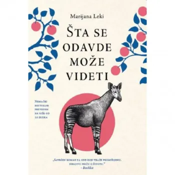 Šta se odavde može videti 