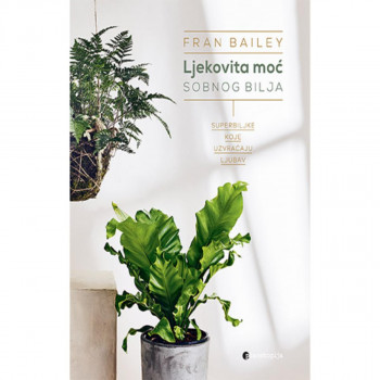 Ljekovita moć sobnog bilja 