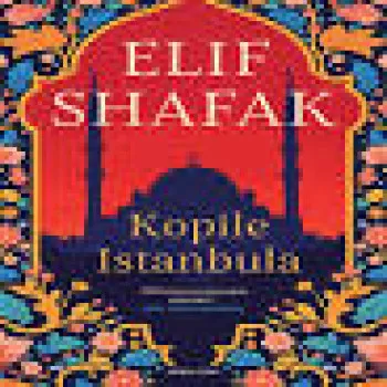 Kopile Istanbula 