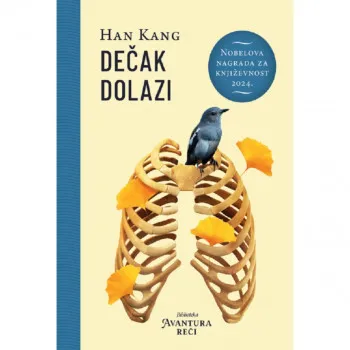 Dečak dolazi 