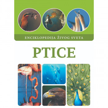Ptice 
