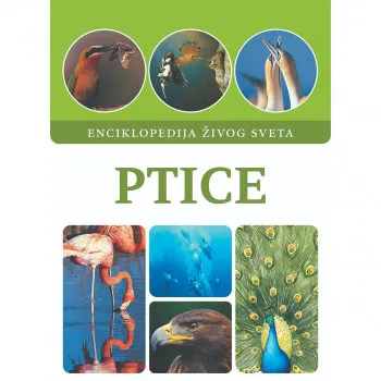 Ptice 