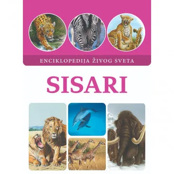 Sisari 
