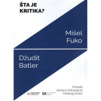 Šta je kritika? 
